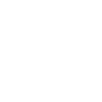 item 12